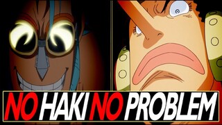 The Straw Hat's Don't Need Haki | One Piece Discussion