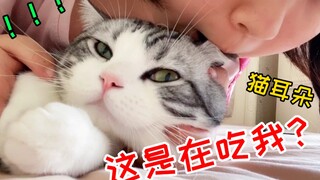 当你家猫发现你想吃猫耳朵时......整个猫生都不好了，哈哈哈