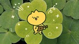 [Xixi] Let me give you a lucky clover!