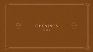 16. Openings - Part 2