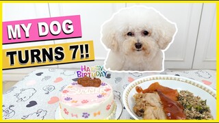 My Dog Turns 7! Summer's Birthday Treat 2021| The Poodle Mom