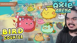 BBP (Bird, Beast, Plant) Inuuna lagi ang bird ko! | Axie Infinity (Tagalog) #31