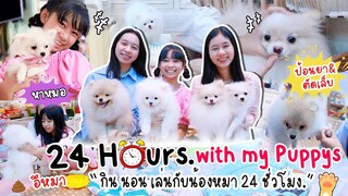 24 ชั่วโมง‼️เลี้ยงลูกหมาปอม เหนื่อยจนอยากจะร้องไห้😭 | น้องวีว่า พี่วาวาว WiwaWawow TV