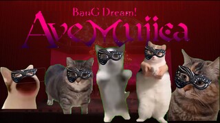 【原曲不使用】猫meme 《Ave Muji-CAT》