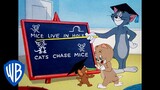 Tom & Jerry | Lessons Learned! | Classic Cartoon Compilation | WB Kids