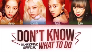 DON'T KNOW WHAT TO DO LYRICS