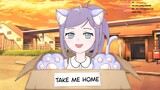 Will you bring this cat home?