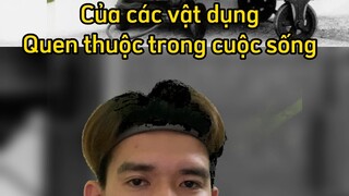 Not tiêu đề