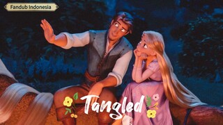 Rapunzel dan Flynn Scene Favorit - Tangled (FANDUB INDONESIA)