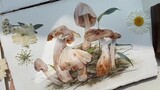 Sejarah Hutan | Jamur Gallicconium di tumpukan jarum pinus~