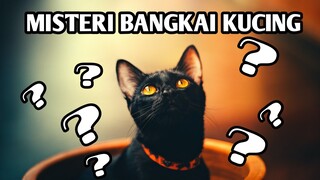 BERIKUT ALASAN KENAPA KITA SUSAH MENEMUKAN BANGKAI KUCING YANG MATI DENGAN WAJAR