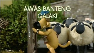 Shaun The Sheep S1 Eps5 - Awas Banteng Galak