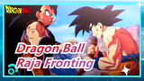 [Dragon Ball] Raja Fronting