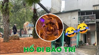 Đàn tượng hổ ở Phú Thọ được đưa đi bảo trì - Top comments hài bá đạo Face Book.