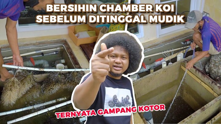 LANGKAH-LANGKAH MEMBERSIHKAN CHAMBER KOLAM KOI DI ATAS GARASI | BABE FISH