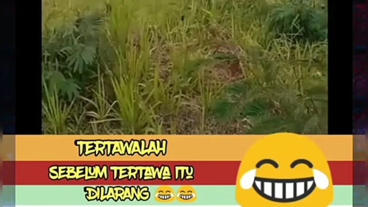 bikin ngakak 😂😂😂😂