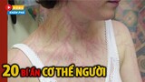 20 Bí Ẩn Thú Vị Về Cơ Thể Con Người Mà 100 Người Thì 99 Người Không Biết