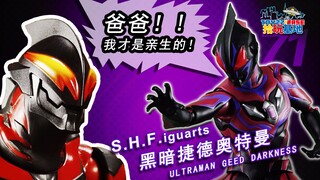 Shiwan Review: This is what Beria’s son should look like! Bandai SHF Dark Ged