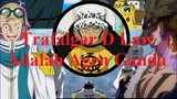 Trafalgar D Law Termasuk Bagian Dari Pasukan Khusus Rahasia Sword