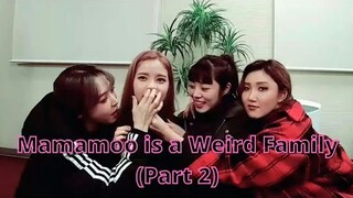 Mamamoo is a Weird Family (Part 2)