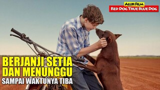 Kisah Seekor Anjing Yang Setia Menunggu Tuanya Datang Lagi | Alur Cerita Film RED DOG TRUE BLUE DOG