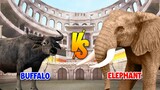Buffalo vs Elephant | SPORE