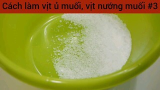 Cách làm vịt ủ muối , vịt nướng muối #3