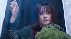 Cánh Cửa Bí Mật EP 12 [Sub Việt]
