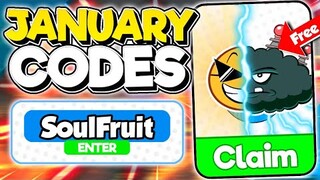 New "Update 17 Working Codes in Roblox Blox Fruits