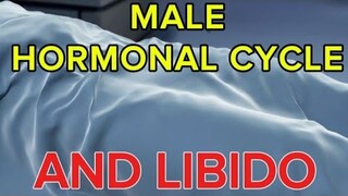 Male Hormonal Cycle And Libido