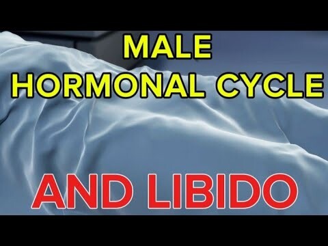 Male Hormonal Cycle And Libido