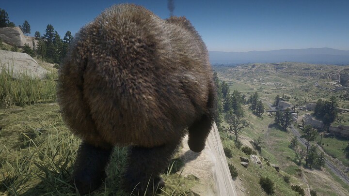 [Red Dead Redemption 2] If a player is knocked down by a bear on the edge of a cliff, will the bear 