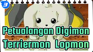 [Petualangan Digimon] Potongan Keseharian Gemas Terriermon&Lopmon_B3