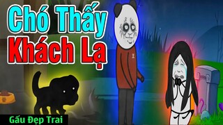 Gấu Đẹp Trai : CHÓ THÂY KHÁCH LẠ | Phim Ngắn Gấu Đẹp Trai Hài Hước Kinh Dị