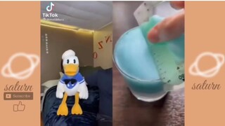 Donald Ducc TikTok Collection