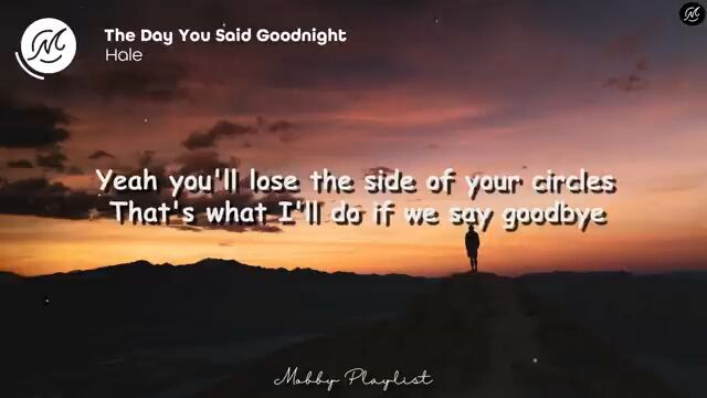 the day you said goodnight