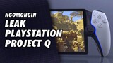 Ngomongin Leak Project Q Sony