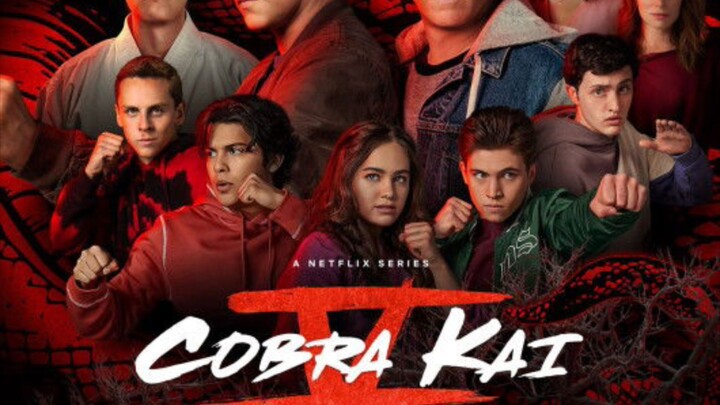 Cobra Kai Season 4 Episode 10 In Hindi Dub HD