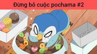 Đừng bỏ cuộc pochama p2