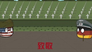 【国家球（波兰球）】诺曼底登陆