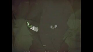 Hollyleaf AMV - I'm Not The One (CW: Flash, Blood) (By Silverwolfnyght)