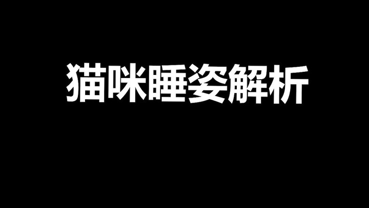 宠物冷知识：猫咪不同睡姿都因为什么？你家猫咪是怎么睡得？