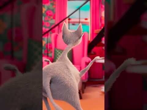 funny cat dancing