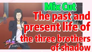 [Fairy King’s Daily Life]  Mix cut | The past and present life of the three brothers of shadow