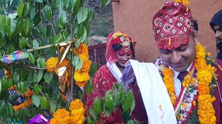 Bride and Groom Enticing Their Life With the Promise of Fire |  जग्गेको सात फेरो लगाउदै ।