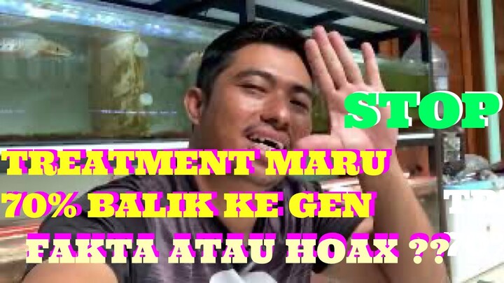 TREATMENT MARU..70% BALIK KE GEN 30% TREATMENT…YAKIN GITU???
