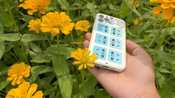 Turn your phone over and try to take a picture of the sea of flowers like this