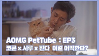 [AOMG PetTube] EP 03: 코드 쿤스트 (CODE KUNST) x 시루 (Seeroo) x 판다 (Panda)