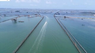 DU LỊCH HUẾ _ Trải nghiệm Bánh Xèo Cá Kình tại Đầm Chuồn siêu đẹp 10