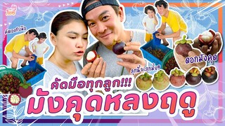 มังคุดหลงฤดู ล๊อตสุดท้าย! I คริตอินสวน